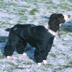 dog in black muttley mudsuit